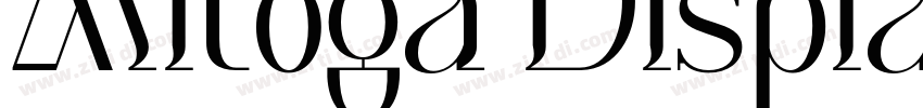 Mitoga Display字体转换